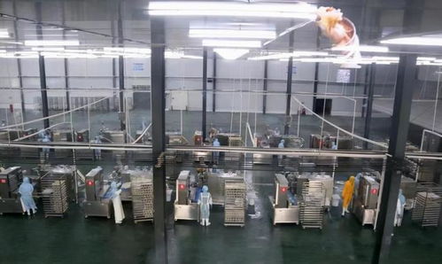 投資超2.5億 今年,長葛西南部要建一個商貿城 一個食品產業園