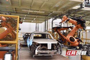 點(diǎn)贊 湖南智造 中非經(jīng)貿(mào)博覽會代表團(tuán)走進(jìn)獵豹汽車長沙廠