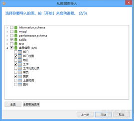 Navicat for MariaDB 原生環(huán)境下的數(shù)據(jù)庫管理利器